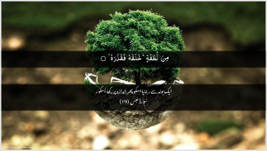 Abasa Ayah 19 - Arabic + Urdu wallpaper
