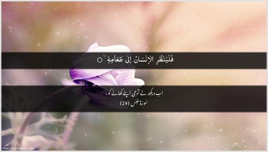 Abasa Ayah 24 - Arabic + Urdu wallpaper