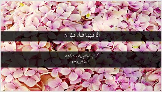 Abasa Ayah 25 - Arabic + Urdu wallpaper