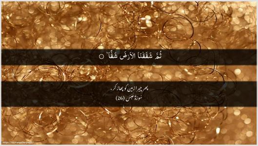 Abasa Ayah 26 - Arabic + Urdu wallpaper