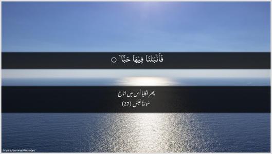 Abasa Ayah 27 - Arabic + Urdu wallpaper
