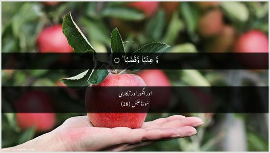 Abasa Ayah 28 - Arabic + Urdu wallpaper