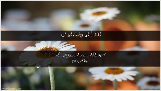 Abasa Ayah 32 - Arabic + Urdu wallpaper