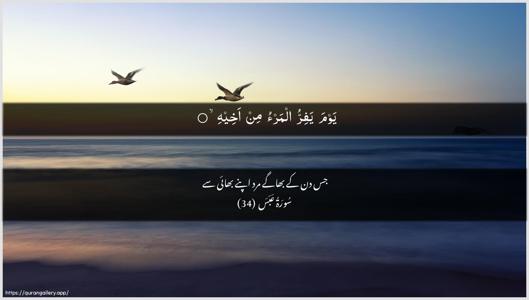 Abasa Ayah 34 - Arabic + Urdu wallpaper
