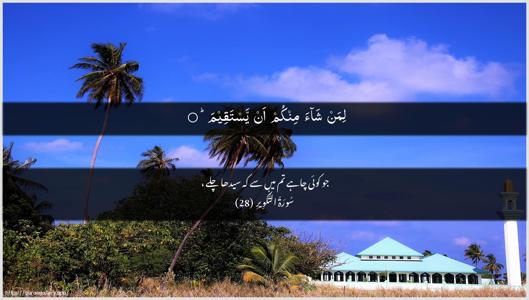 At-Takwir Ayah 28 - Arabic + Urdu wallpaper