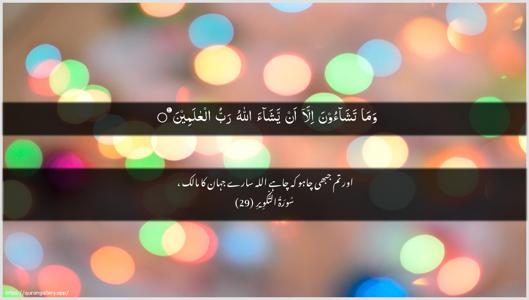 At-Takwir Ayah 29 - Arabic + Urdu wallpaper