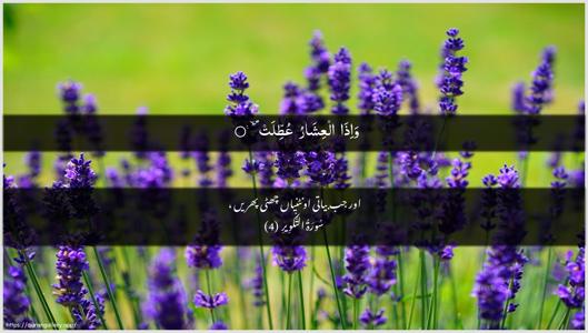 At-Takwir Ayah 4 - Arabic + Urdu wallpaper