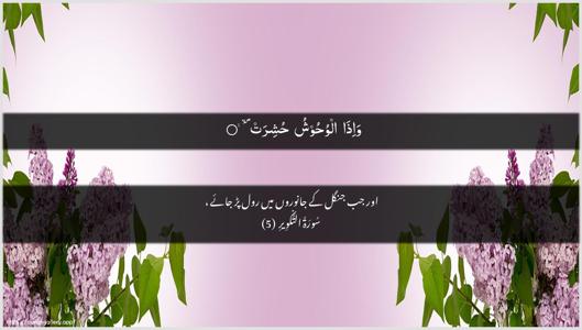 At-Takwir Ayah 5 - Arabic + Urdu wallpaper