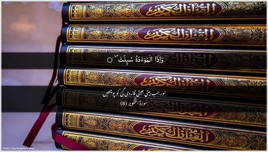 At-Takwir Ayah 8 - Arabic + Urdu wallpaper