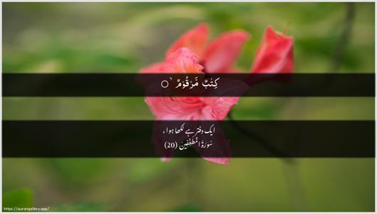 Al-Mutaffifin Ayah 20 - Arabic + Urdu wallpaper