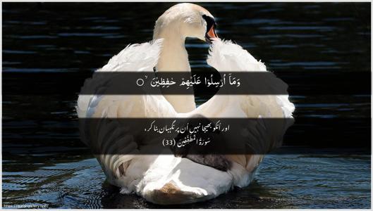 Al-Mutaffifin Ayah 33 - Arabic + Urdu wallpaper