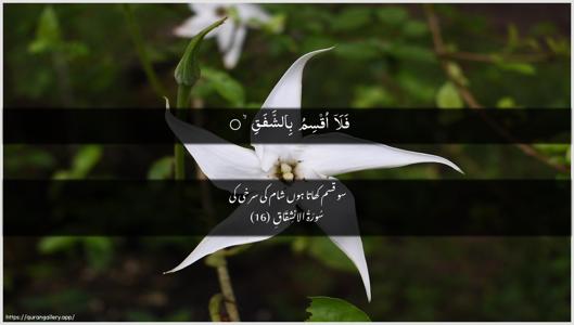 Al-Inshiqaaq Ayah 16 - Arabic + Urdu wallpaper