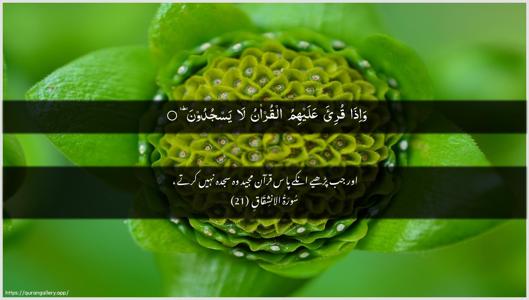 Al-Inshiqaaq Ayah 21 - Arabic + Urdu wallpaper