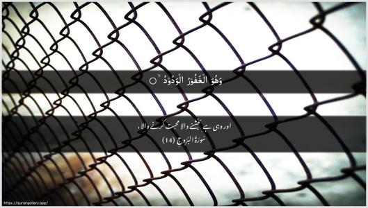 Al-Burooj Ayah 14 - Arabic + Urdu wallpaper