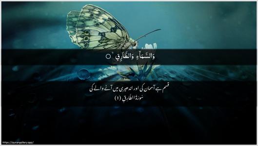 At-Taariq Ayah 1 - Arabic + Urdu wallpaper