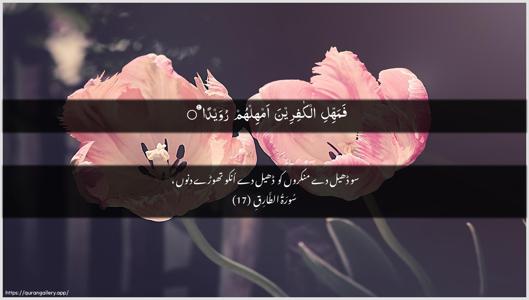 At-Taariq Ayah 17 - Arabic + Urdu wallpaper