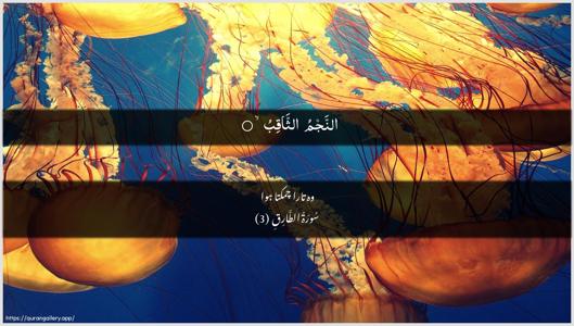 At-Taariq Ayah 3 - Arabic + Urdu wallpaper