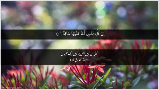 At-Taariq Ayah 4 - Arabic + Urdu wallpaper