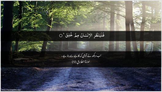 At-Taariq Ayah 5 - Arabic + Urdu wallpaper