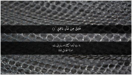 At-Taariq Ayah 6 - Arabic + Urdu wallpaper