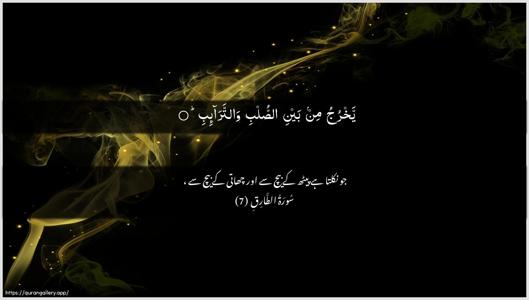 At-Taariq Ayah 7 - Arabic + Urdu wallpaper
