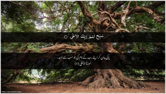 Al-A"laa Ayah 1 - Arabic + Urdu wallpaper