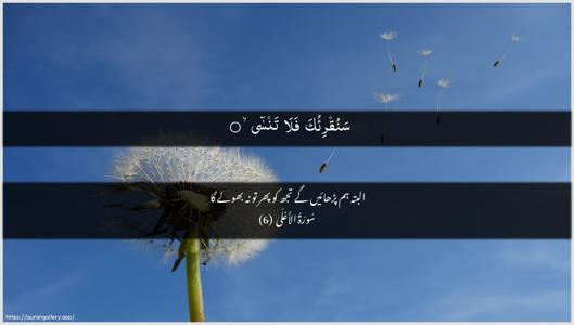 Al-A"laa Ayah 6 - Arabic + Urdu wallpaper