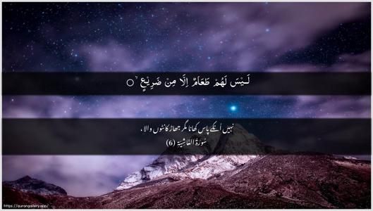Al-Ghaashiya Ayah 6 - Arabic + Urdu wallpaper