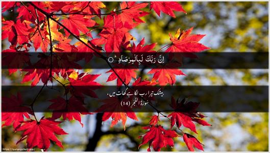 Al-Fajr Ayah 14 - Arabic + Urdu wallpaper