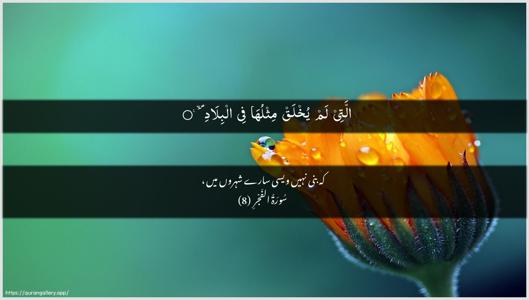 Al-Fajr Ayah 8 - Arabic + Urdu wallpaper