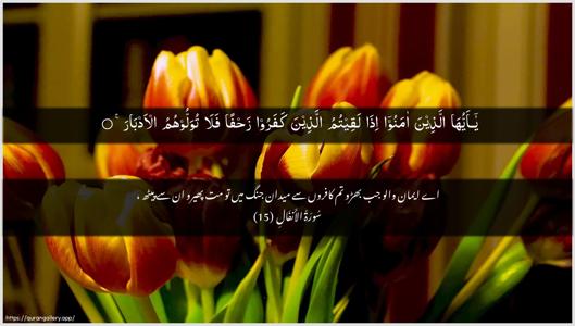Al-Anfaal Ayah 15 - Arabic + Urdu wallpaper