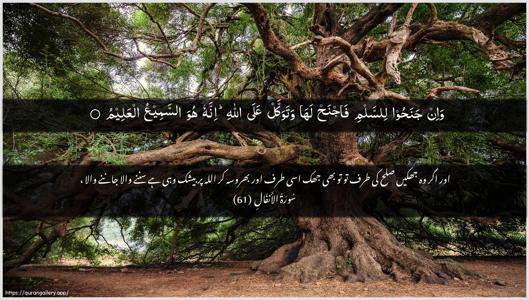 Al-Anfaal Ayah 61 - Arabic + Urdu wallpaper