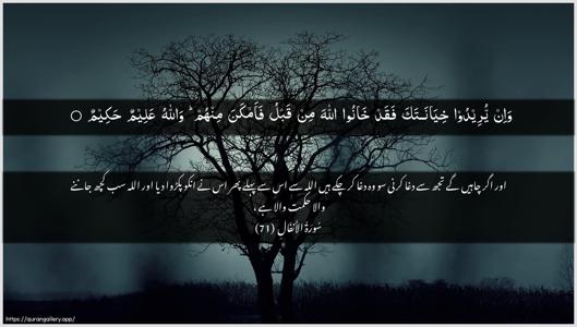 Al-Anfaal Ayah 71 - Arabic + Urdu wallpaper