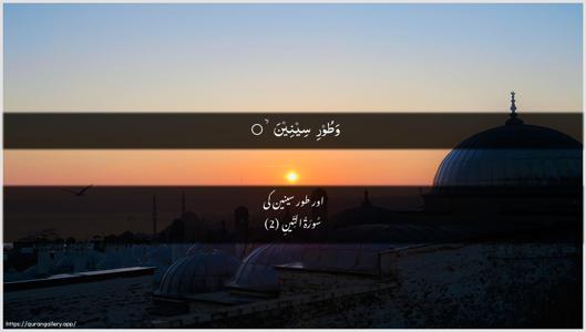 At-Tin Ayah 2 - Arabic + Urdu wallpaper