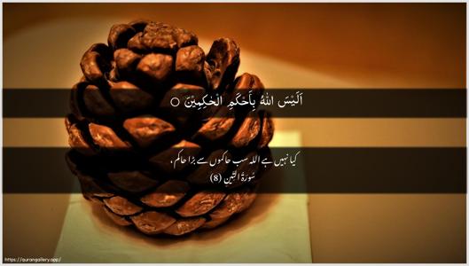 At-Tin Ayah 8 - Arabic + Urdu wallpaper