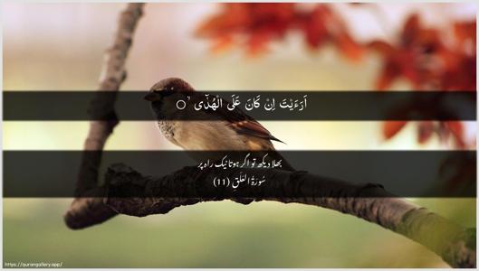 Al-Alaq Ayah 11 - Arabic + Urdu wallpaper
