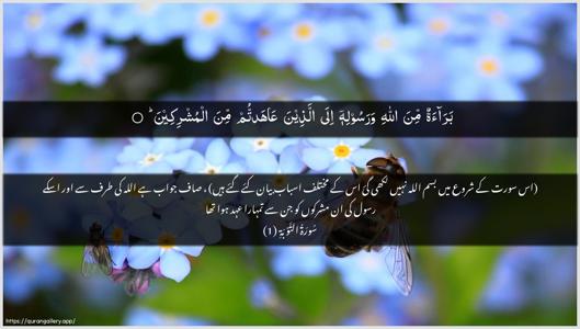 At-Tawba Ayah 1 - Arabic + Urdu wallpaper