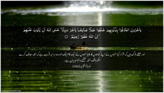 At-Tawba Ayah 102 - Arabic + Urdu wallpaper
