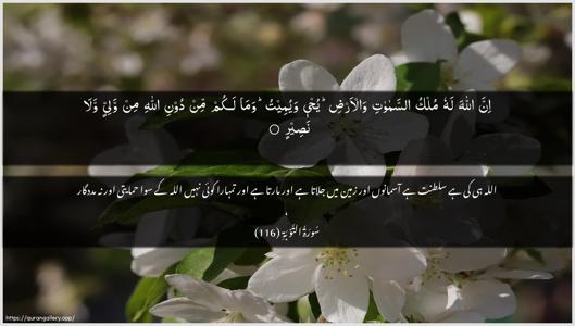 At-Tawba Ayah 116 - Arabic + Urdu wallpaper