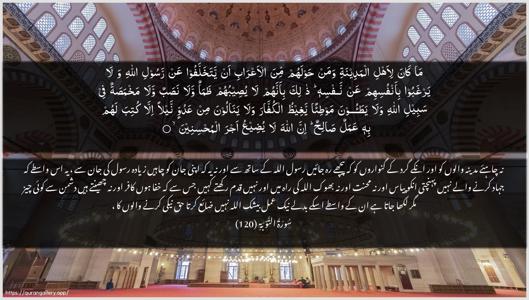 At-Tawba Ayah 120 - Arabic + Urdu wallpaper