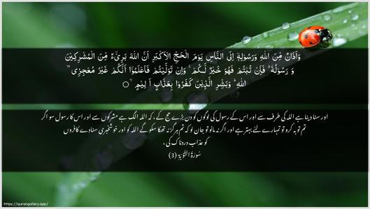At-Tawba Ayah 3 - Arabic + Urdu wallpaper