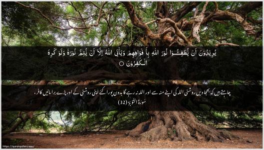 At-Tawba Ayah 32 - Arabic + Urdu wallpaper