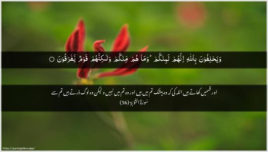 At-Tawba Ayah 56 - Arabic + Urdu wallpaper