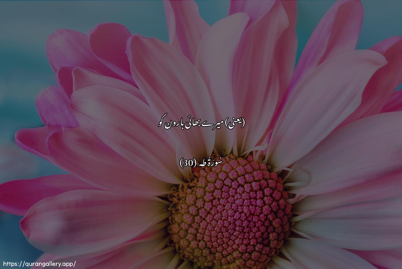 Surah Taa-Haa Ayah 30 of 20 HD Wallpaper: Download Beautiful horizontal Quran Verse Image | Haroona akhee