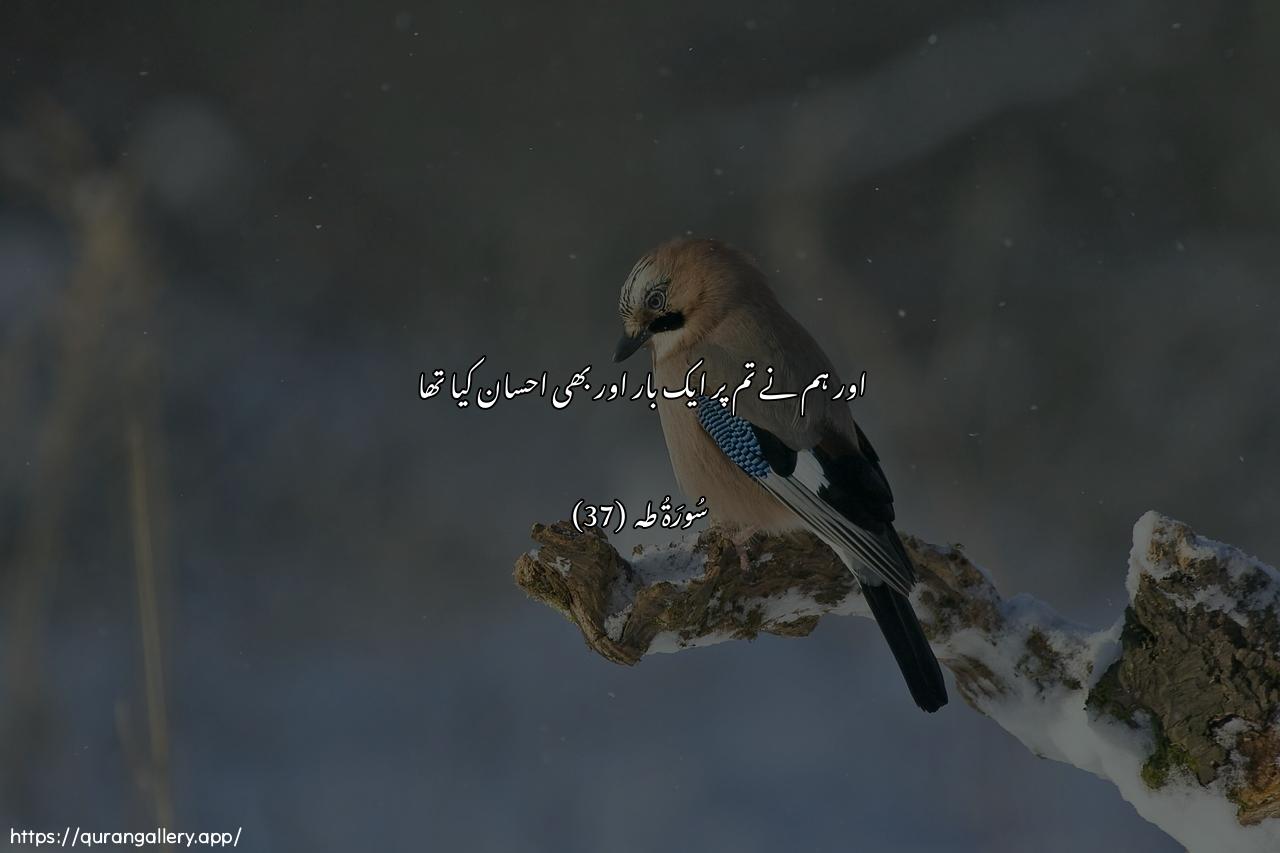 Surah Taa-Haa Ayah 37 of 20 HD Wallpaper: Download Beautiful horizontal Quran Verse Image | Walaqad mananna AAalayka marratanokhra