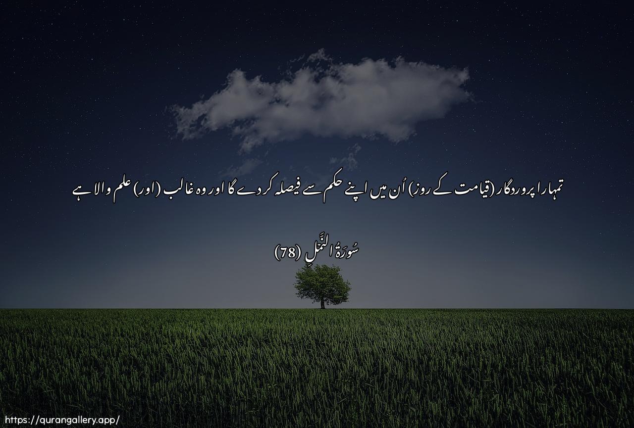 Surah An-Naml Ayah 78 of 27 HD Wallpaper: Download Beautiful horizontal Quran Verse Image | Inna rabbaka yaqdee baynahum bihukmihiwahuwa alAAazeezu alAAaleem