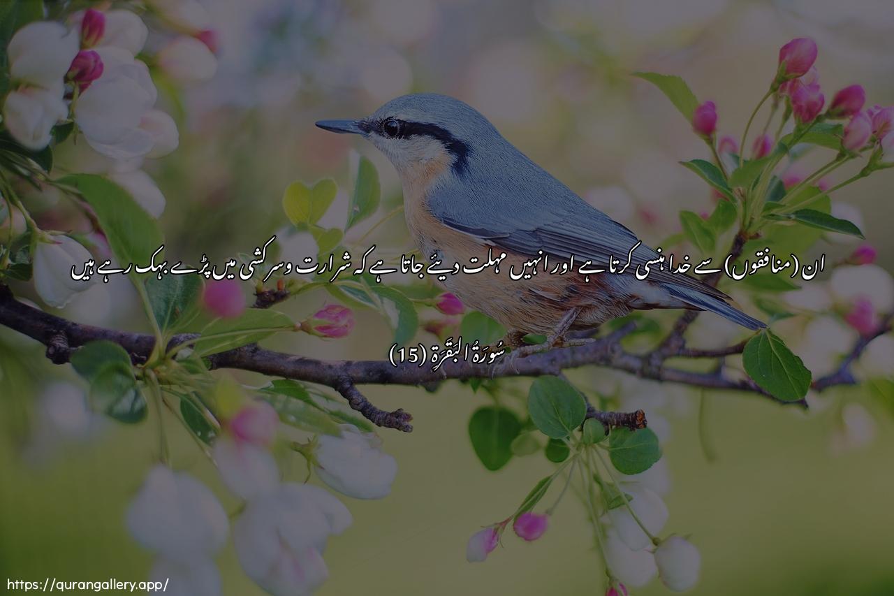 Surah Al-Baqara Ayah 15 of 2 HD Wallpaper: Download Beautiful horizontal Quran Verse Image | Allahu yastahzi-o bihim wayamudduhumfee tughyanihim yaAAmahoon