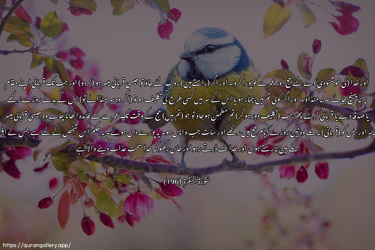 Surah Al-Baqara Ayah 196 of 2 HD Wallpaper: Download Beautiful horizontal Quran Verse Image | Waatimmoo alhajja walAAumratalillahi fa-in ohsirtum fama istaysara minaalhadyi wala tahliqoo ruoosakum hattayablugha alhadyu mahillahu faman kana minkum mareedanaw bihi athan min ra/sihi fafidyatun min siyaminaw sadaqatin aw nusukin fa-itha amintum famantamattaAAa bilAAumrati ila alhajji famaistaysara mina alhadyi faman lam yajid fasiyamuthalathati ayyamin fee alhajji wasabAAatin itharajaAAtum tilka AAasharatun kamilatun thalika limanlam yakun ahluhu hadiree almasjidi alharamiwattaqoo Allaha waAAlamoo anna Allahashadeedu alAAiqab