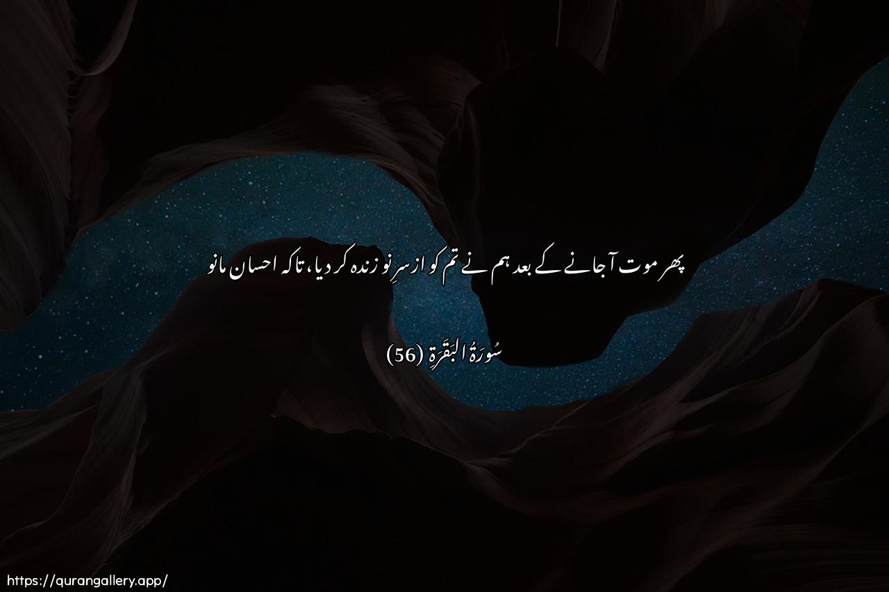 Surah Al-Baqara Ayah 56 of 2 HD Wallpaper: Download Beautiful horizontal Quran Verse Image | Thumma baAAathnakum min baAAdimawtikum laAAallakum tashkuroon