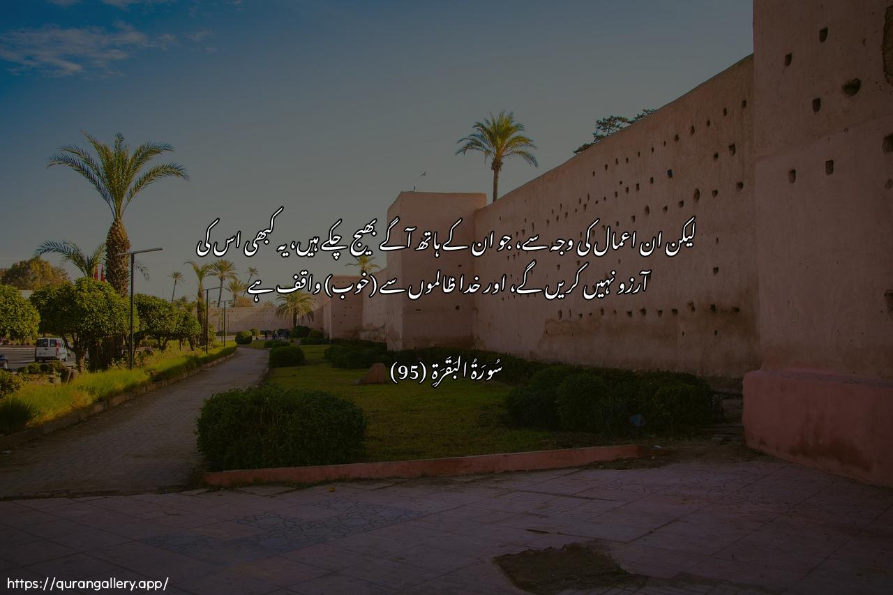 Surah Al-Baqara Ayah 95 of 2 HD Wallpaper: Download Beautiful horizontal Quran Verse Image | Walan yatamannawhu abadan bimaqaddamat aydeehim wallahu AAaleemun biaththalimeen